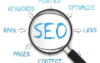 Cook County Search Engine Optimization Specialists Help Local Organizations